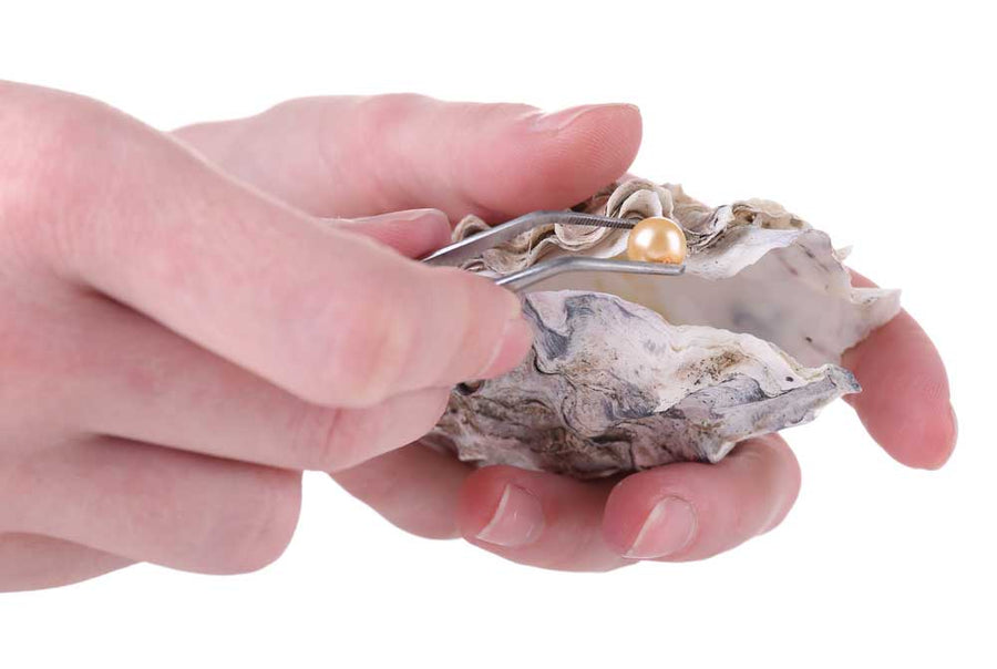 pearl shell