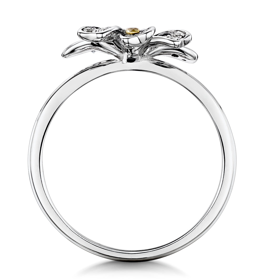 Blue Sapphire Yellow Sapphire and Diamond Stellato Ring 9K White Gold