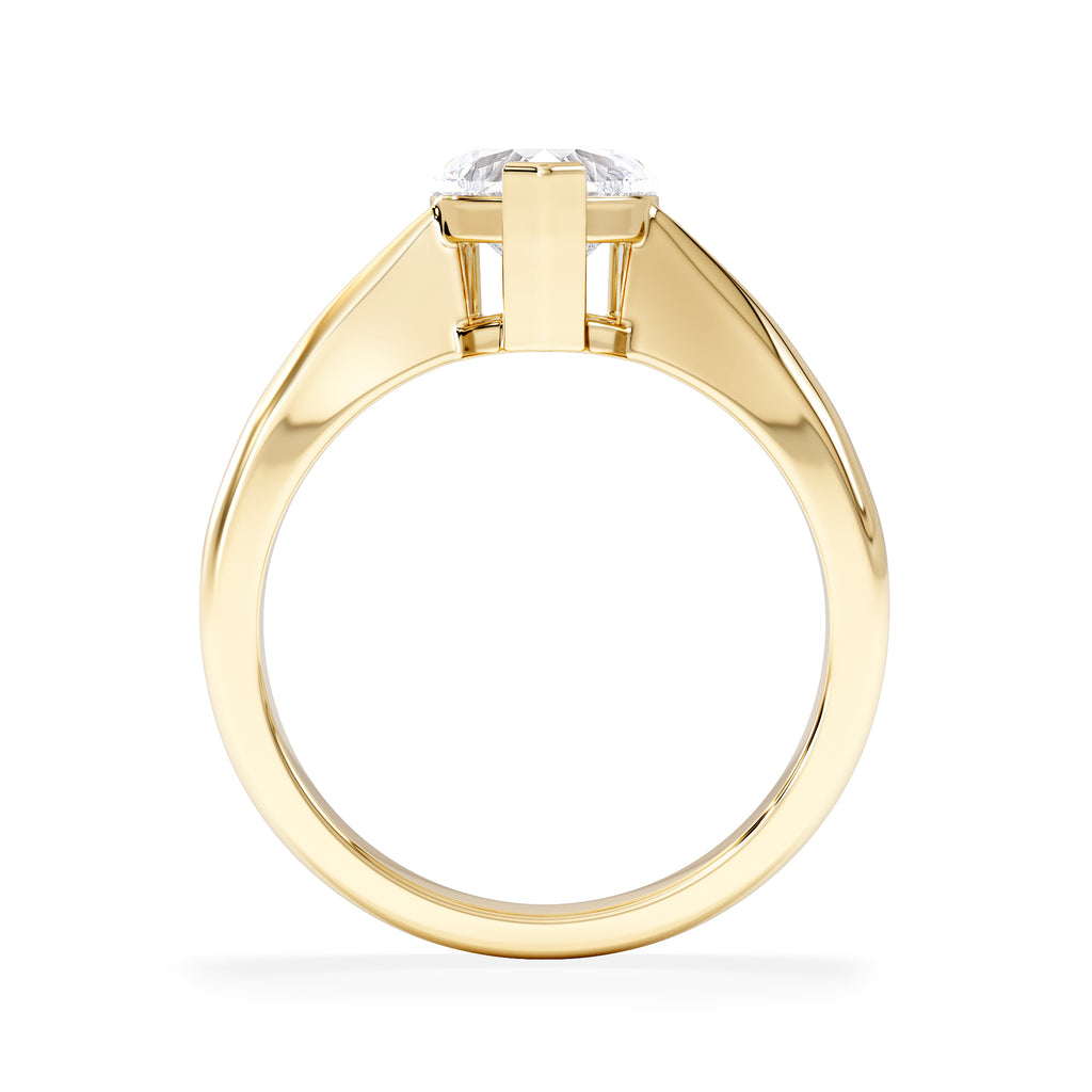 Naomi Heart Cut Lab Diamond Engagement Ring 1.00ct H/SI in 9k Gold