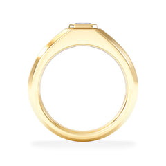 Axis Men's 0.50ct Asscher Cut Lab Diamond Signet Ring in 18K Gold Vermeil
