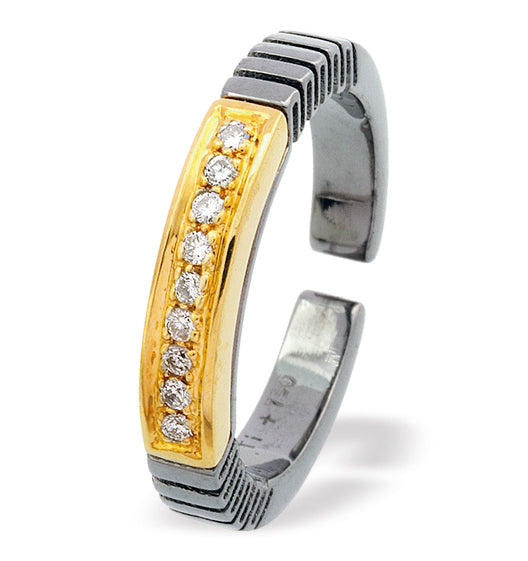 18K Gold Titanium Ring