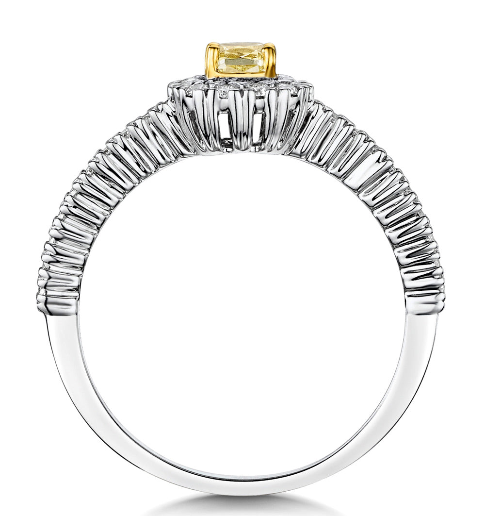 Alicia Yellow Diamond Halo Engagement Ring 0.55ct in 18K White Gold