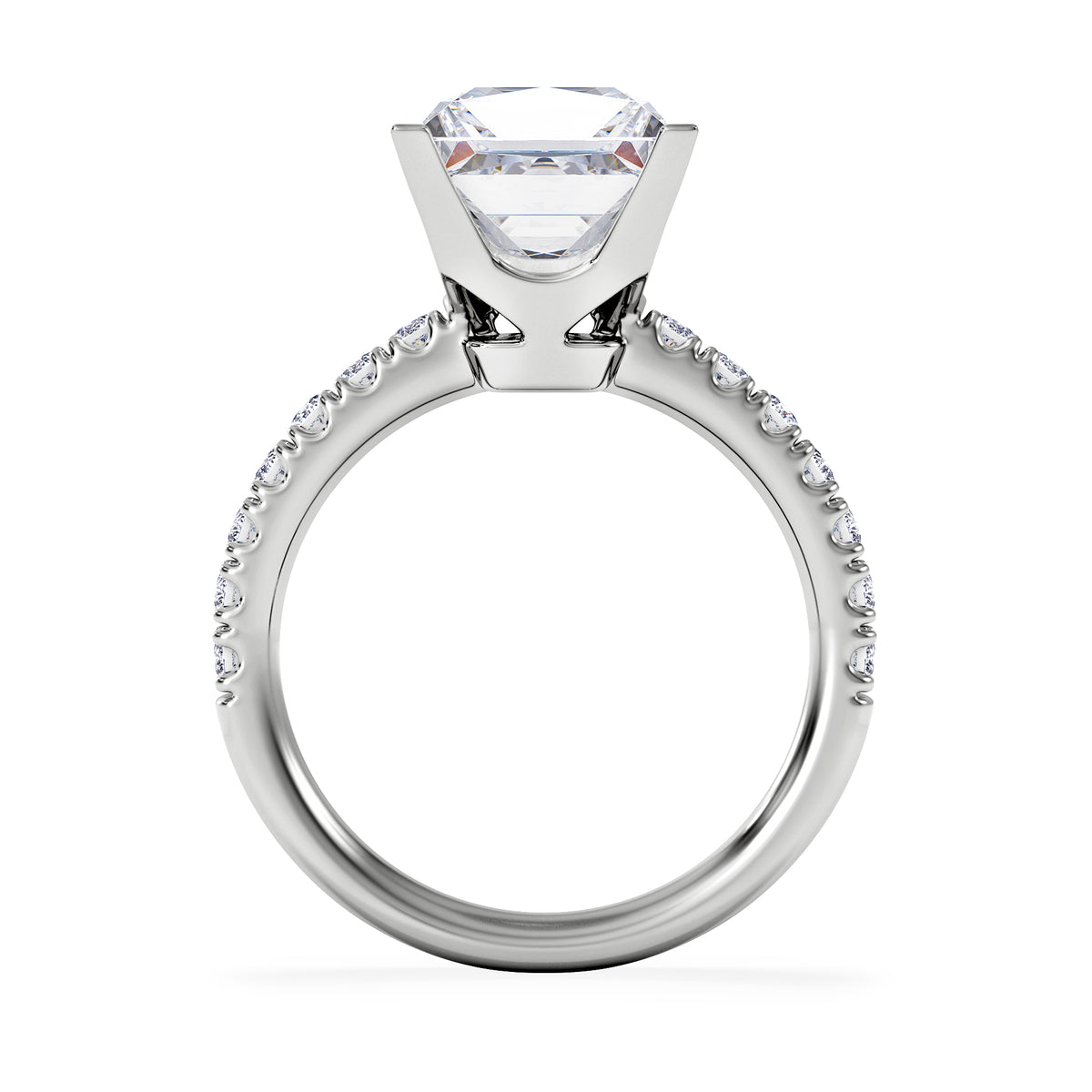 Katerina 3.45ct Lab Diamond Princess Cut Engagement Ring in Platinum G/VS1