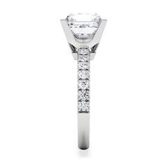 Katerina 3.45ct Lab Diamond Princess Cut Engagement Ring in Platinum G/VS1