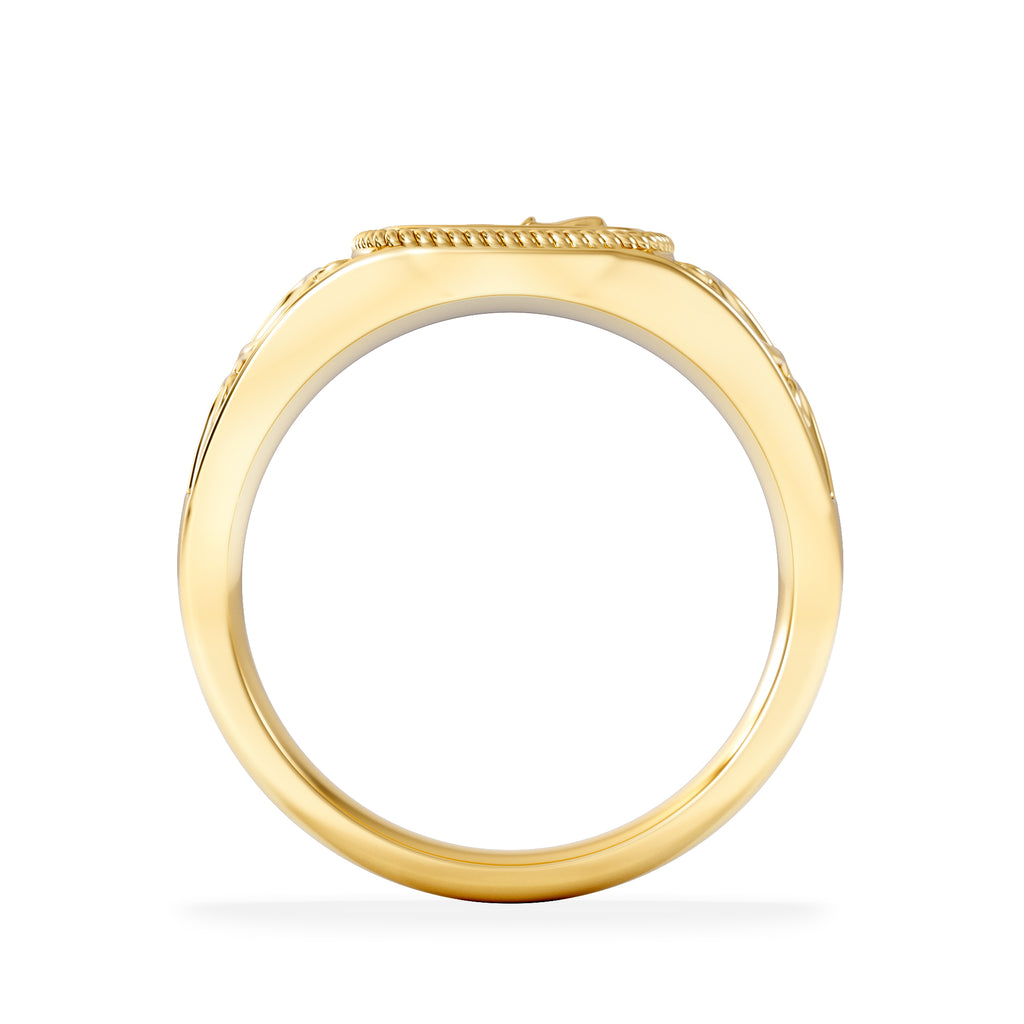 Aquarius Zodiac 0.01ct Lab Diamond Signet Ring in 18K Gold Vermeil