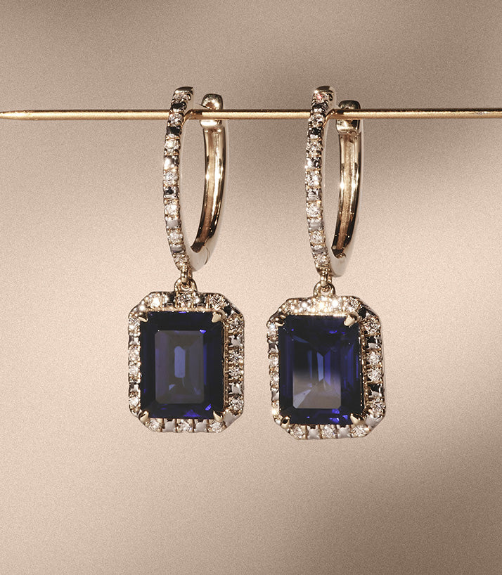 ambassador cat earrings