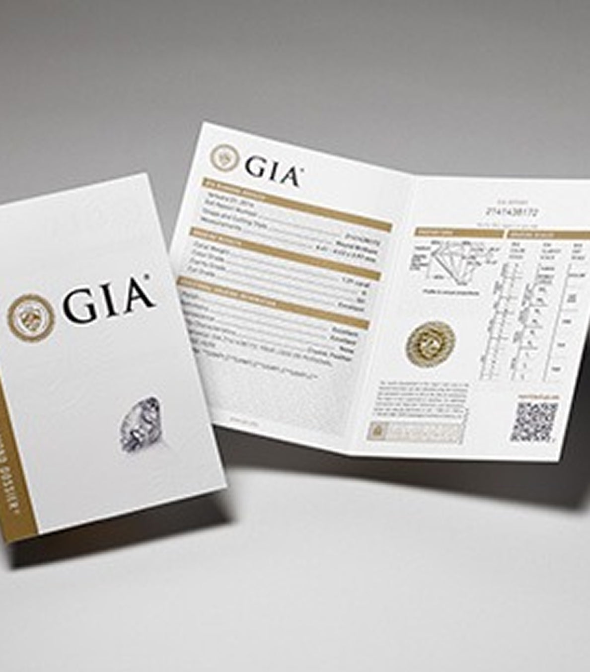 blog gem guide certified