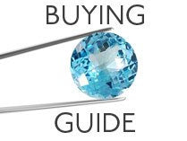 bluetopaz guide