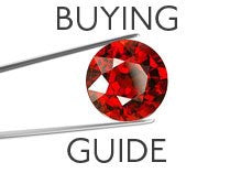 garnet guide