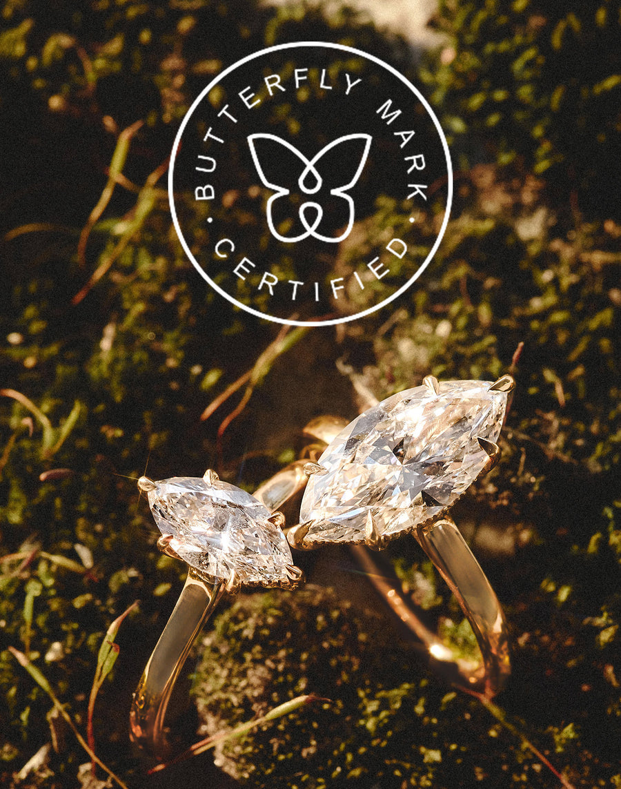 lp about butterfly mark