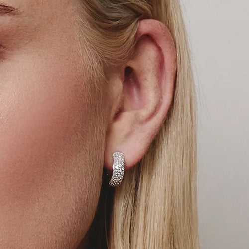 new in carousel earrings