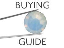 opal guide