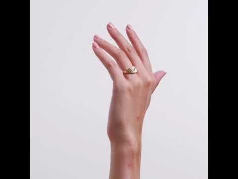 Capricorn Zodiac 0.01ct Lab Diamond Signet Ring in 18K Gold Vermeil