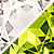 Peridot & Diamond